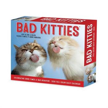 Bad Kitties 2026 5.4 X 6.2 Box Calendar
