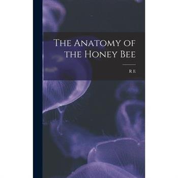 The Anatomy of the Honey Bee