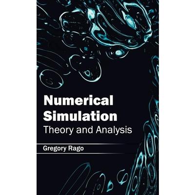 Numerical Simulation: Theory and Analysis