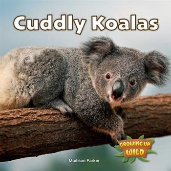 Cuddly Koalas