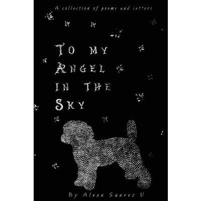 To My Angel In The Sky