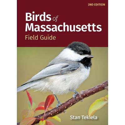 Birds of Massachusetts Field Guide