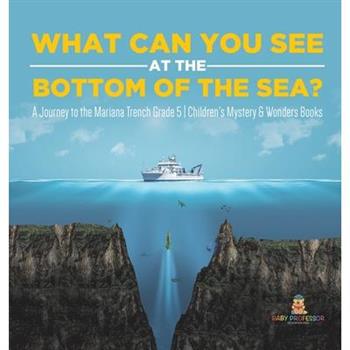 What Can You See in the Bottom of the Sea? A Journey to the Mariana Trench Grade 5 Children's Mystery & Wonders Books