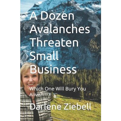A Dozen Avalanches Threaten Small Business