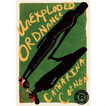 Unexploded Ordnance