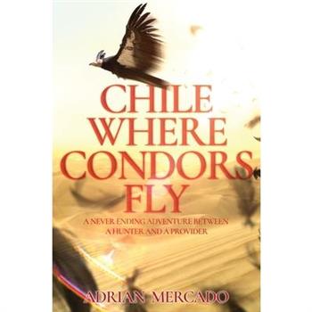 Chile Where Condors Fly