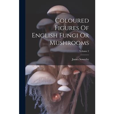 Coloured Figures Of English Fungi Or Mushrooms; Volume 2