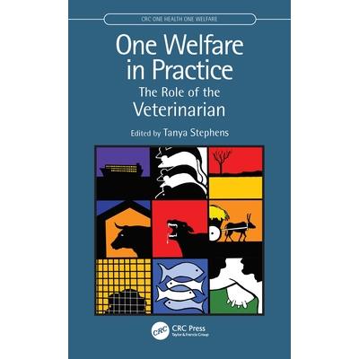 One Welfare in Practice