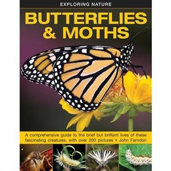 Butterflies & Moths