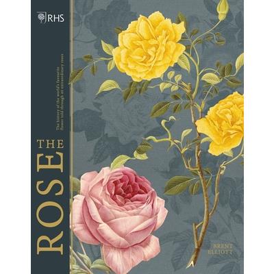 Rhs the Rose-金石堂
