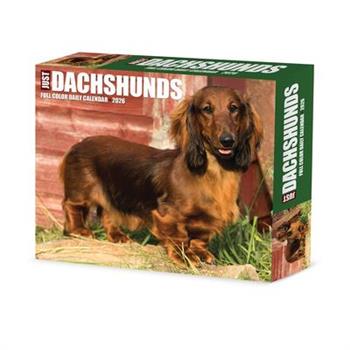 Dachshunds 2026 5.4 X 6.2 Box Calendar