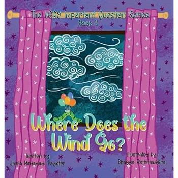 Where Does the Wind Go?