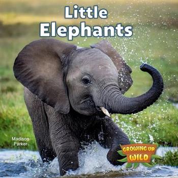 Little Elephants