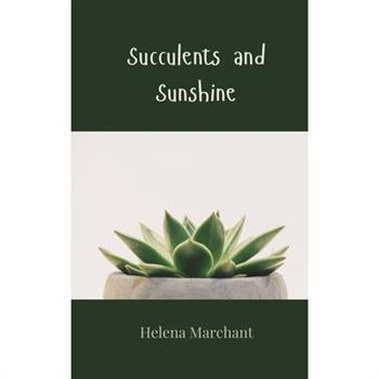 Succulents and Sunshine