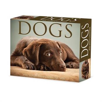 Dogs 2026 5.4 X 6.2 Box Calendar