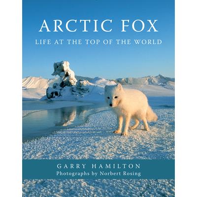 Arctic Fox