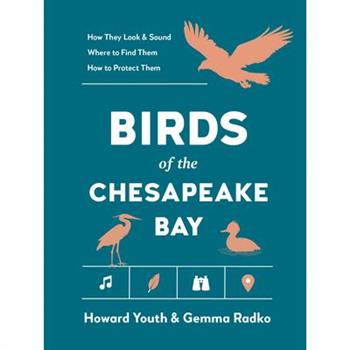 Birds of the Chesapeake Bay