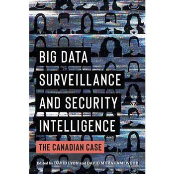 Big Data Surveillance and Security Intelligence