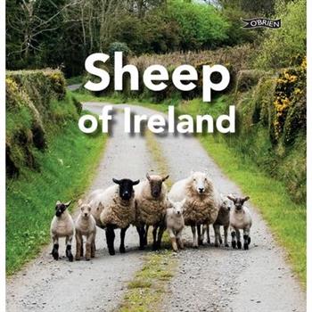 Sheep of Ireland