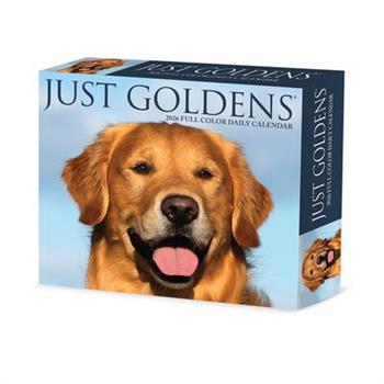 Goldens 2026 5.4 X 6.2 Box Calendar