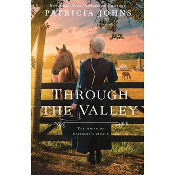 Through the Valley