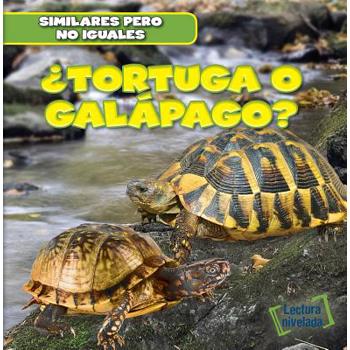 聶Tortuga O Gal獺pago? (Turtle or Tortoise?)