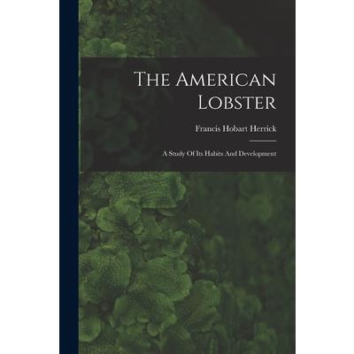 The American Lobster