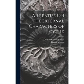 A Treatise On the External Characters of Fossils