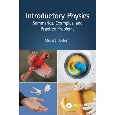 Introductory Physics