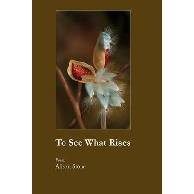 To See What Rises
