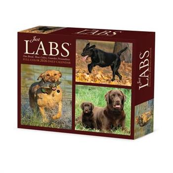 Just Labs 2026 5.4 X 6.2 Box Calendar