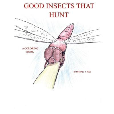 Good Insects that Hunt