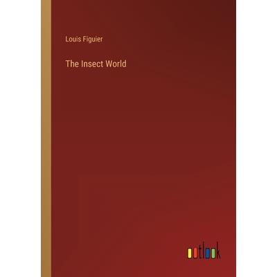 The Insect World
