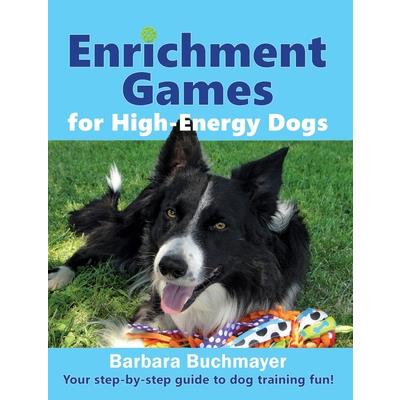 Enrichment Games for High-Energy Dogs