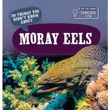 20 Things You Didn't Know about Moray Eels