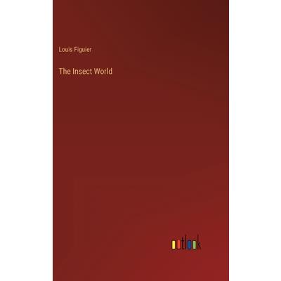 The Insect World