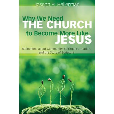 Why I Need the Church to Become More Like Jesus