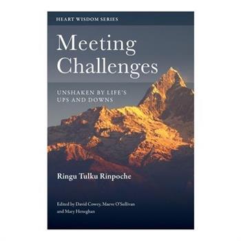 Meeting Challenges