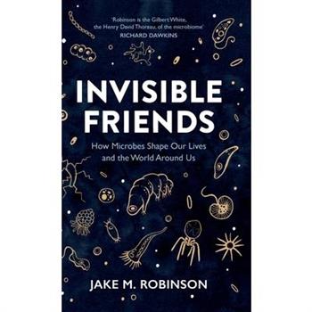 Invisible Friends