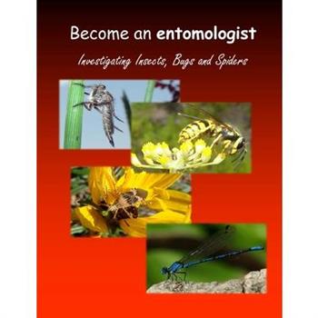Become an entomologist