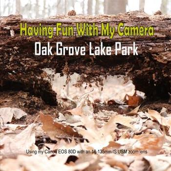 Having Fun With My Camera (Oak Grove Lake Park)