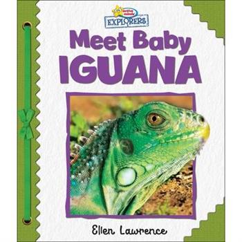 Active Minds Explorers: Meet Baby Iguana