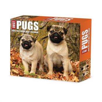 Just Pugs 2026 5.4 X 6.2 Box Calendar