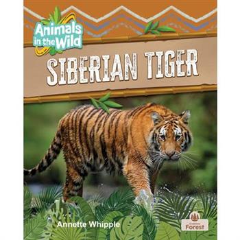 Siberian Tiger