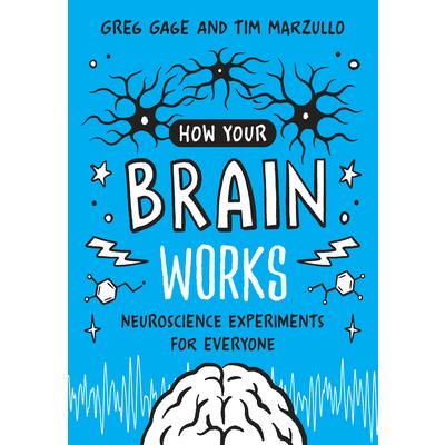 How Your Brain Works