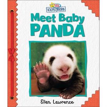 Active Minds Explorers: Meet Baby Panda
