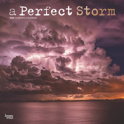 A Perfect Storm 2025 12 X 24 Inch Monthly Square Wall Calendar Foil Stamped Cover Plastic-Free A Perfect Storm 2025 12 X 24 Inch Monthly Square Wall Calendar Foil Stamped Cover Plastic-Free