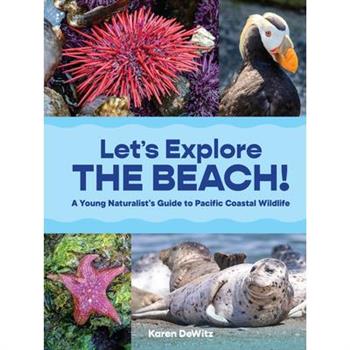 Let's Explore the Beach!