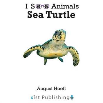 Sea Turtle