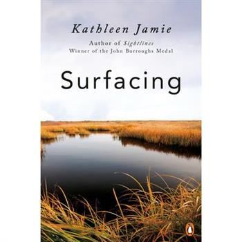 Surfacing
